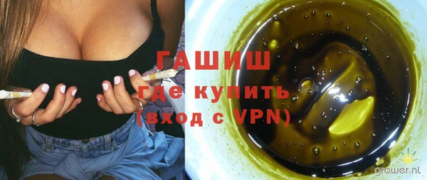 гидра Майский